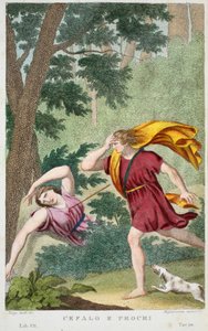 Cefalo e Procri, Libro VII, illustrazione dalle Metamorfosi di Ovidio, Firenze, 1832 da Luigi Ademollo